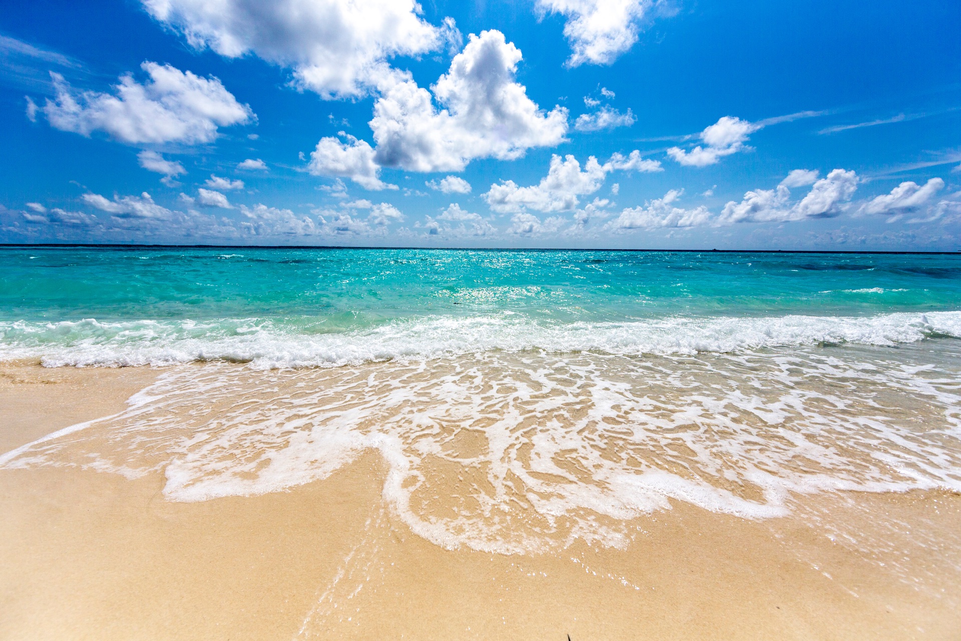 プライバシーポリシー